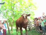 Les tout-petits et les petits à la ferme! (Alsace)