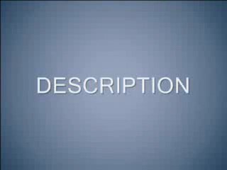 The Importance of Education