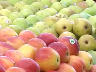 Como comer corretamente