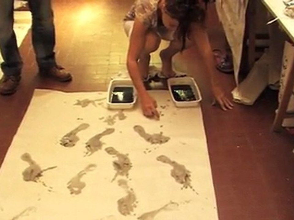 UN PAS DE DANSE MIS EN PEINTURE