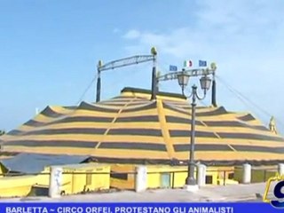 BARLETTA | Circo Orfei, protestano gli animalisti