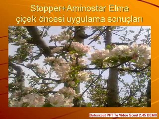 çiçeklenme ve tutma serisi 3 elma uygulaması