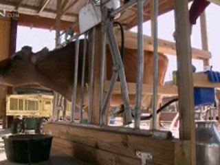 An Answer for Living Paycheck to Paycheck - CBN.com