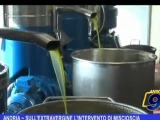 ANDRIA | Sull'extravergine intervento di Miscioscia