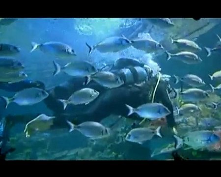 Empati TV - Türkiye Omurilik Felclileri Dernegi 4