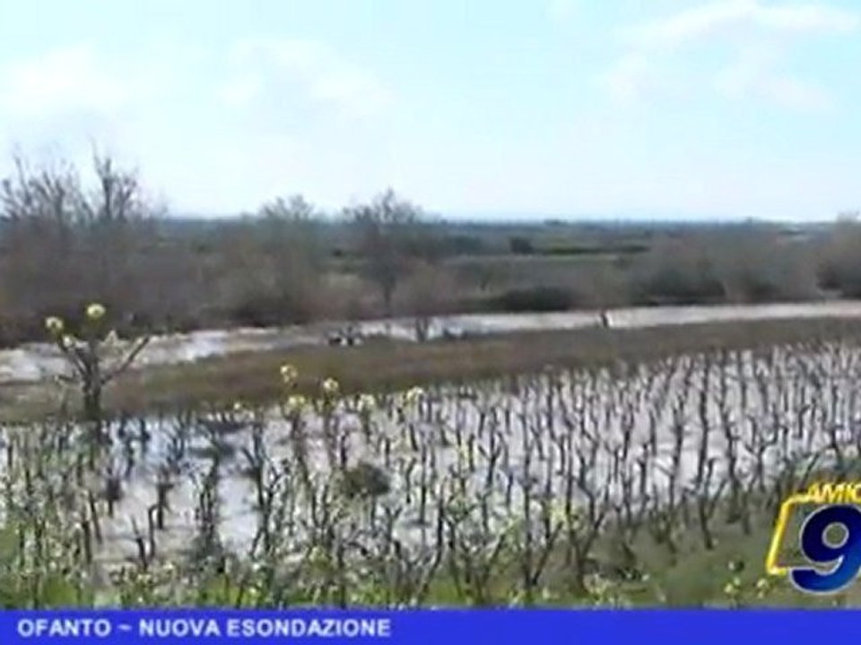 OFANTO | Nuova esondazione