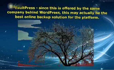 WP Twin In Contrast To Alternative  Cloning Tools