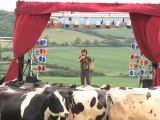 THE LAUGHING COW - Can cows laugh? Experiment with Milton Jones and Bruce Woodacre