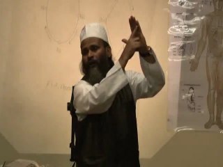 Understanding Sujok by Tri-Origin Theory Part 3.wmv