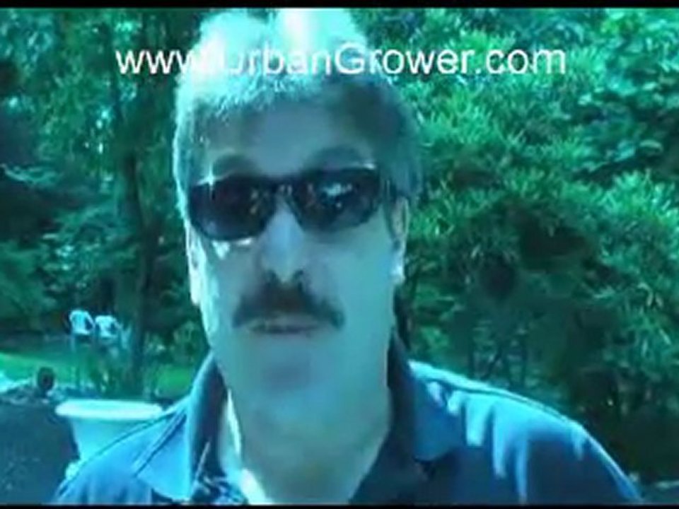 Urban Grower 38 Intro