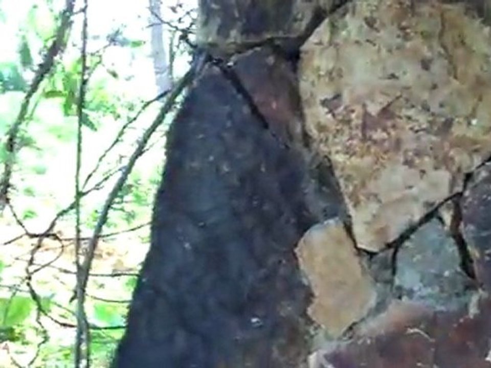 Necker Island trip for entrepreneurs,small business owners dream