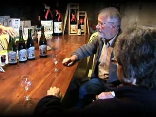 Le Domaine Coton-Vente Vin Chinon Crouzilles