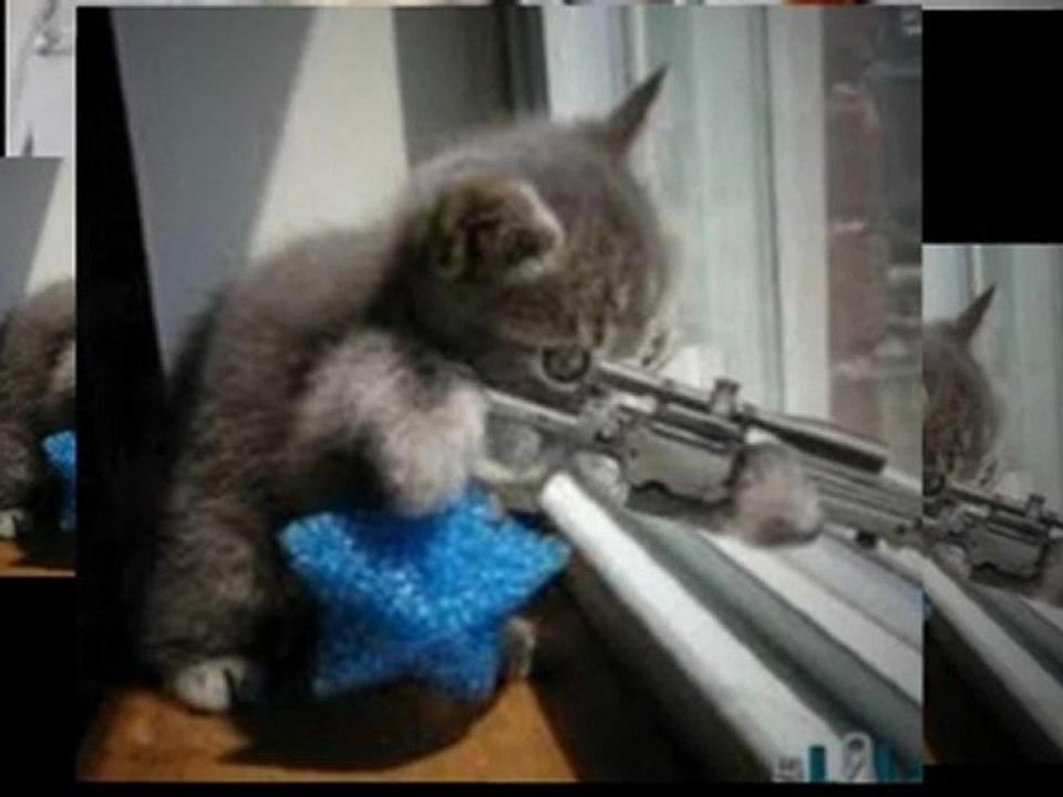 Watching good quality funny pics