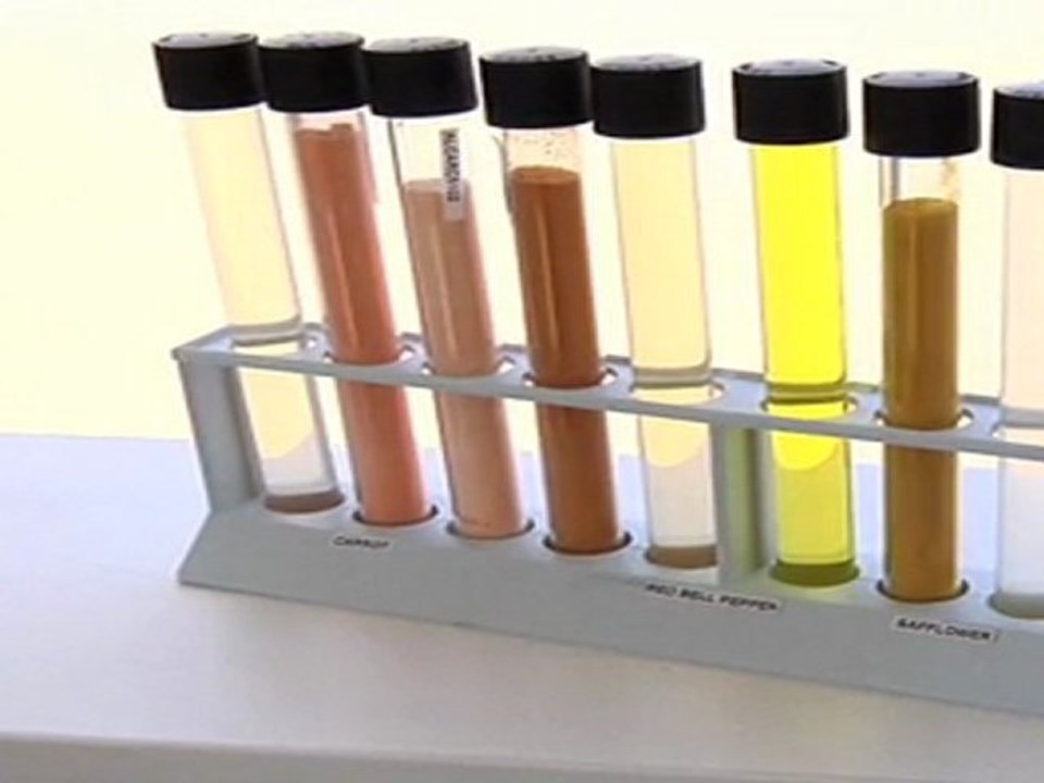 Paroles d'entrepreneur : Jean-Yves Parisot, directeur général chez Diana Naturals