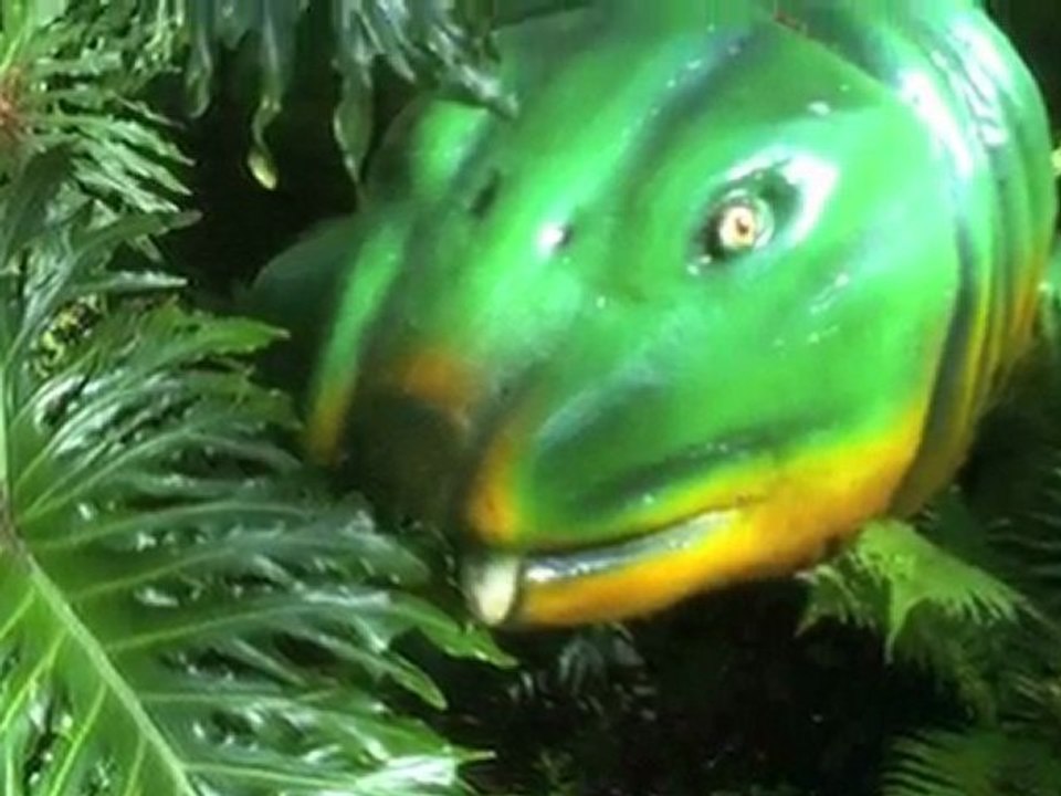 Dinosaur World Coe