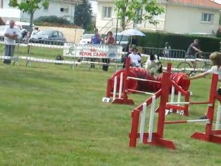 Etna Jump 1 Trophée par équipe 2011