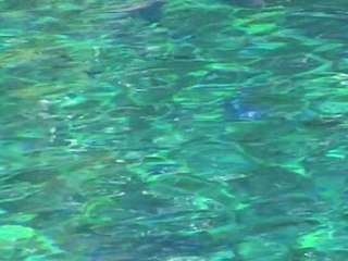 Seconds of Eternity (27/100)