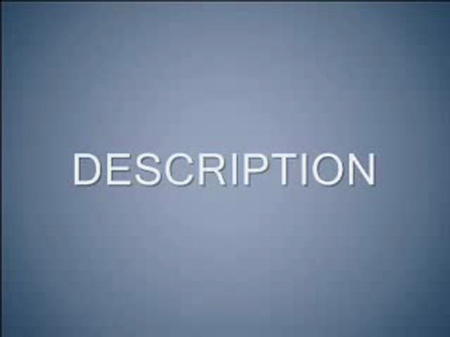 The Looney Tunes Show Review