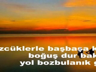 Biçare şair-şiir.1fvl