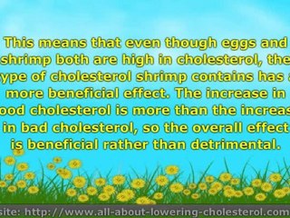 Effect of Cholesterol Shrimp – Is it good or bad for your health?