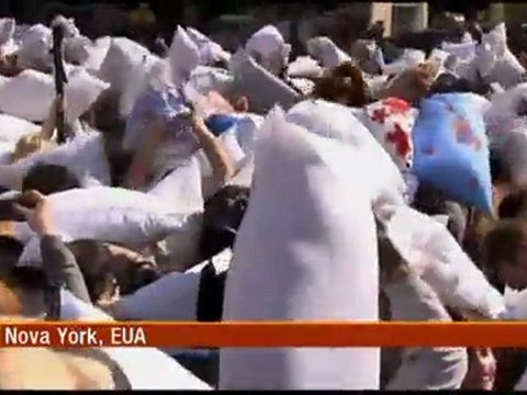 TV3 - Els matins - El primer diumenge d'abril: Dia Mundial de la Lluita de Coixins