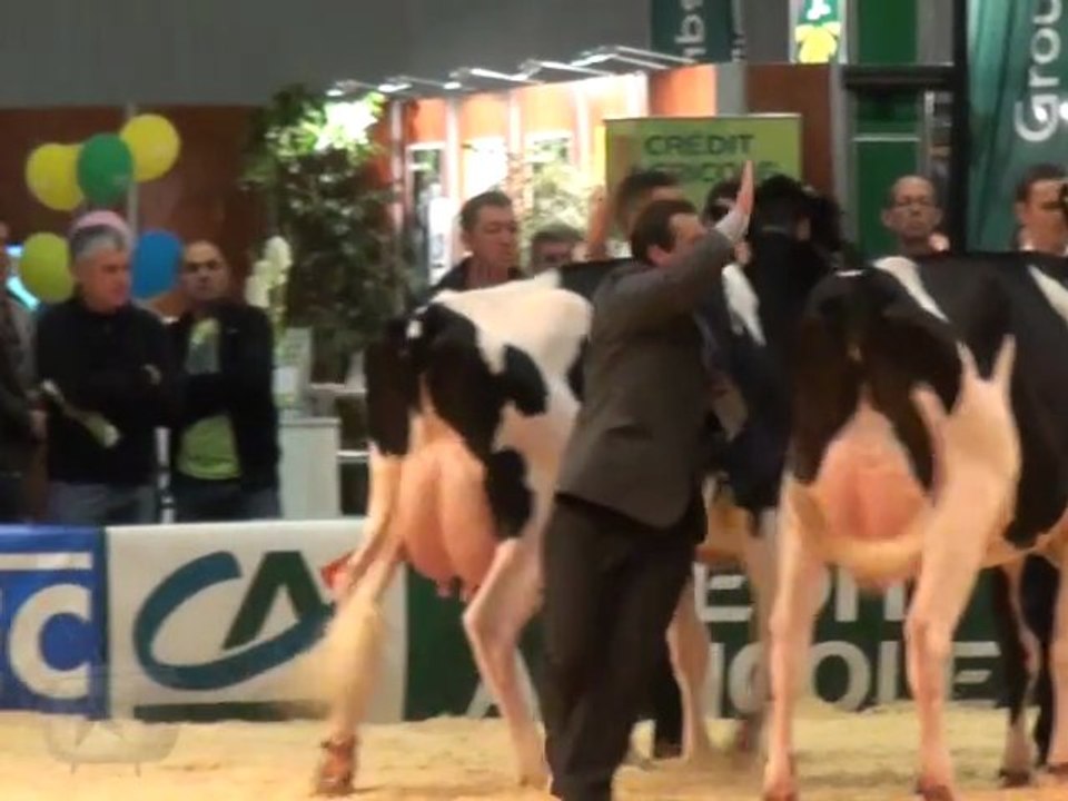 PRIM'HOLSTEIN 2011 - Quelques images du jugement des sections "Espoir"