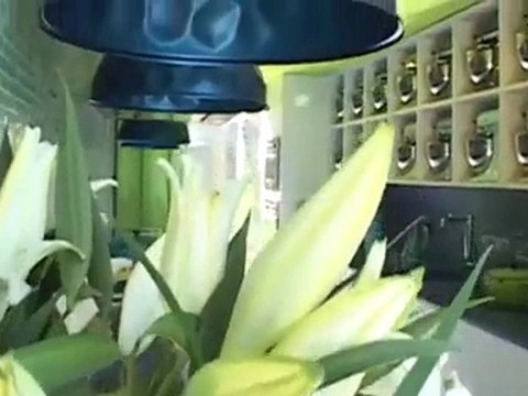 Casa Cor São Paulo comemora 25 anos com ambientes cheios de