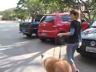 Corrida com cachorro