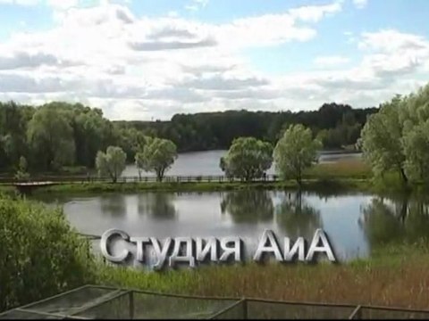 Запахи весны. Smells of Spring