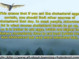 Effects of Cholesterol Eggs – Is It Good or bad?