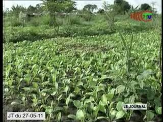 Le représentant du FAO au ministère de l’énergie et de l’hydraulique