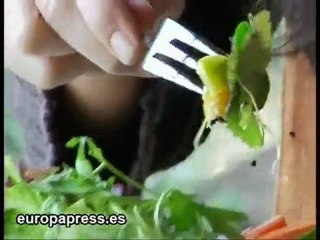 17% de españolas nunca han ido al ginecólogo