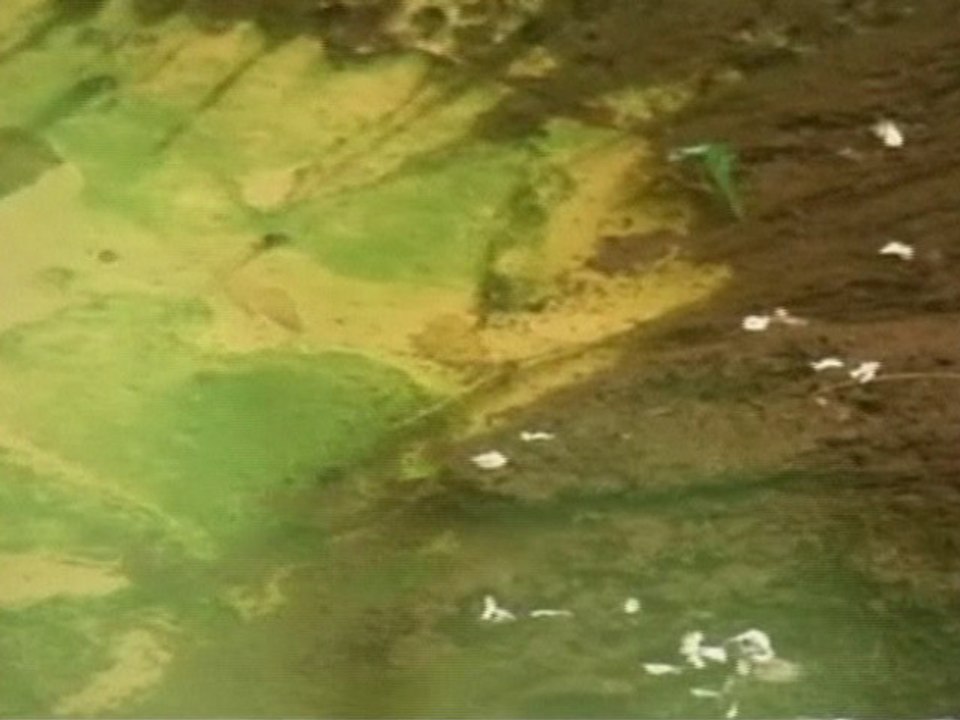 South Korea and U.S. Probe Agent Orange Dumping