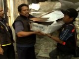 Indonesia Seizes Shipment of Endangered Pangolins