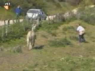 Un homme ce fait serré par un âne