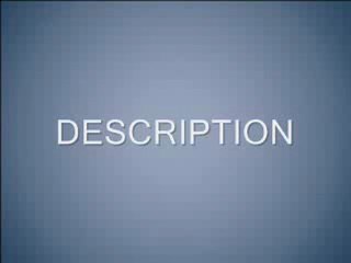 Funny Bird Friday: Cat Food Commercial