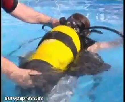 Los niños de la Escuela de Verano del Oceanogràfic.