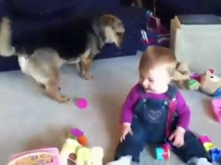 Bebê ri de brincadeira do cachorro