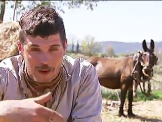 TV3 - Telenotícies - "Terra baixa" adaptada a la televisió