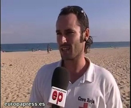 Plaga de medusas en Barcelona