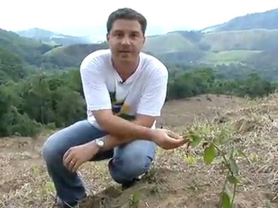 Propostas transformadas em árvores