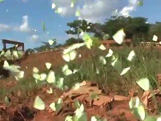 Especial Amazônia: Rodovias