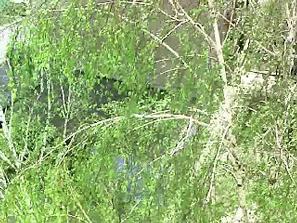Уракос - Нас нет и не будет