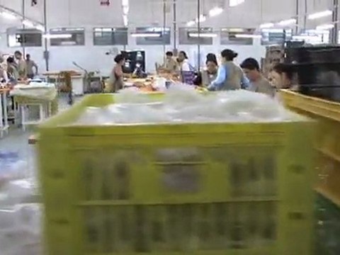 Por dentro de uma fábrica de brinquedos
