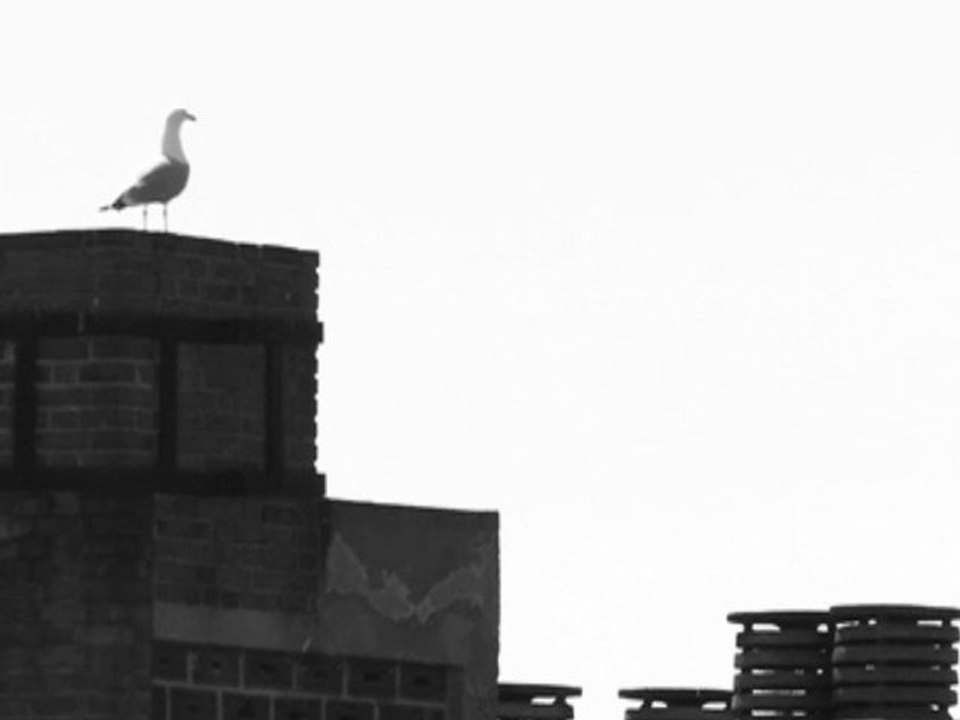 Louise (2011) Teaser HD n°1 : les mouettes