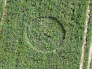 New Crop circles from United Kingdom - May 2011