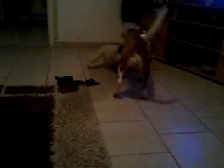 Early et nounours 13.01.11