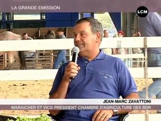 Terroir: deux métiers insolites! (Marseille)