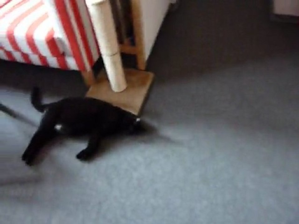 Grosse fatigue