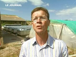 Le photovoltaïque fait de la résistance en Loire Atlantique